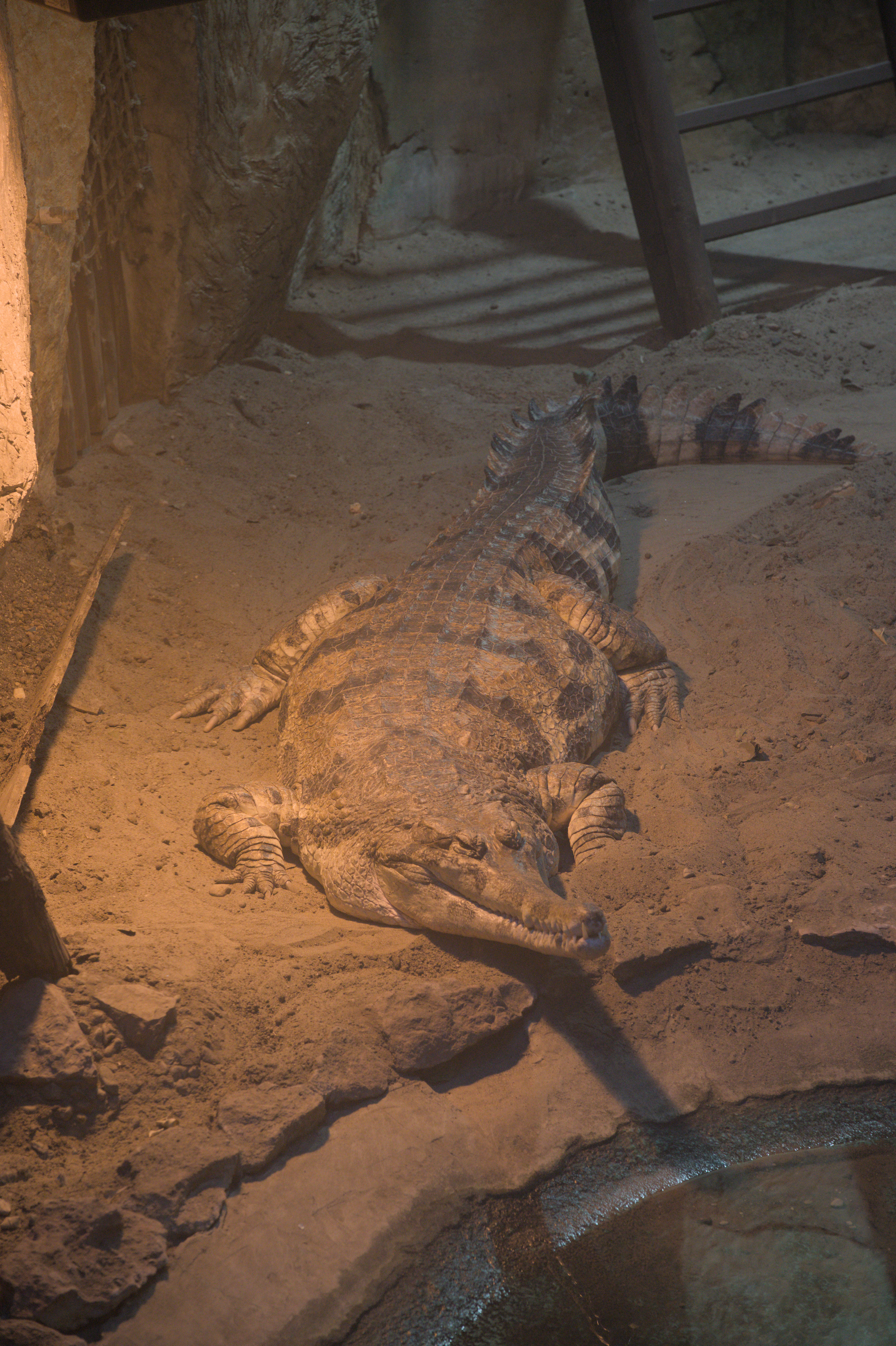 2025/10/12 - zoo/DSC_0156.jpg